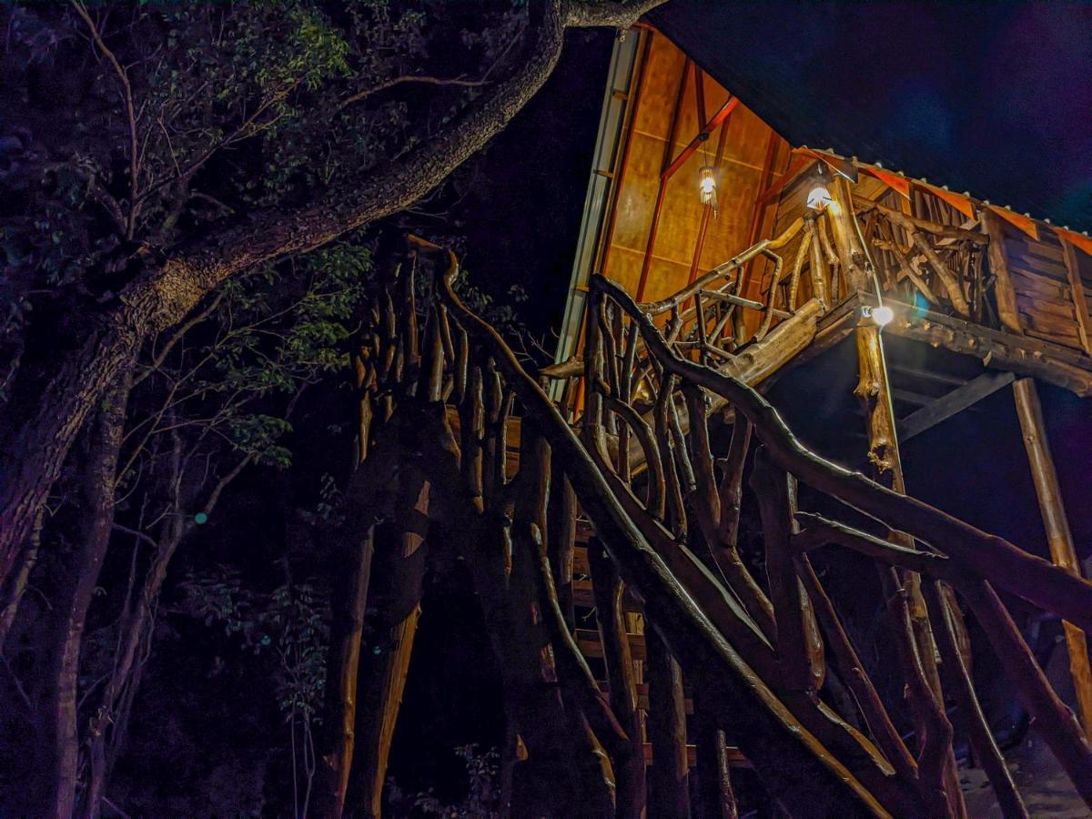Wooden Cabana Sigiriya Exteriör bild